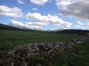 IMG_0211